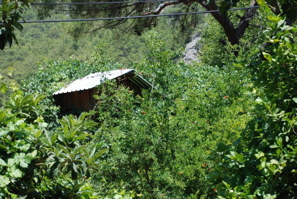 Olympos Camlik Pension Exterior foto