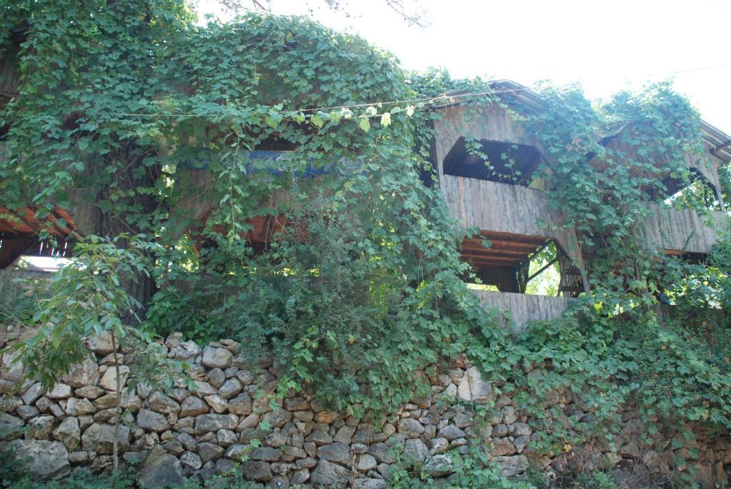 Olympos Camlik Pension Exterior foto